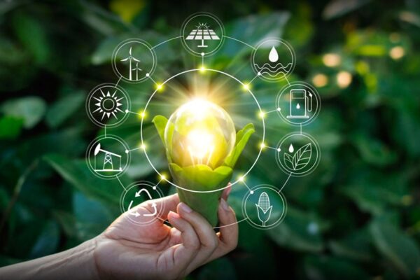 The Rise of Green Tech: Innovations Shaping a Sustainable Future
